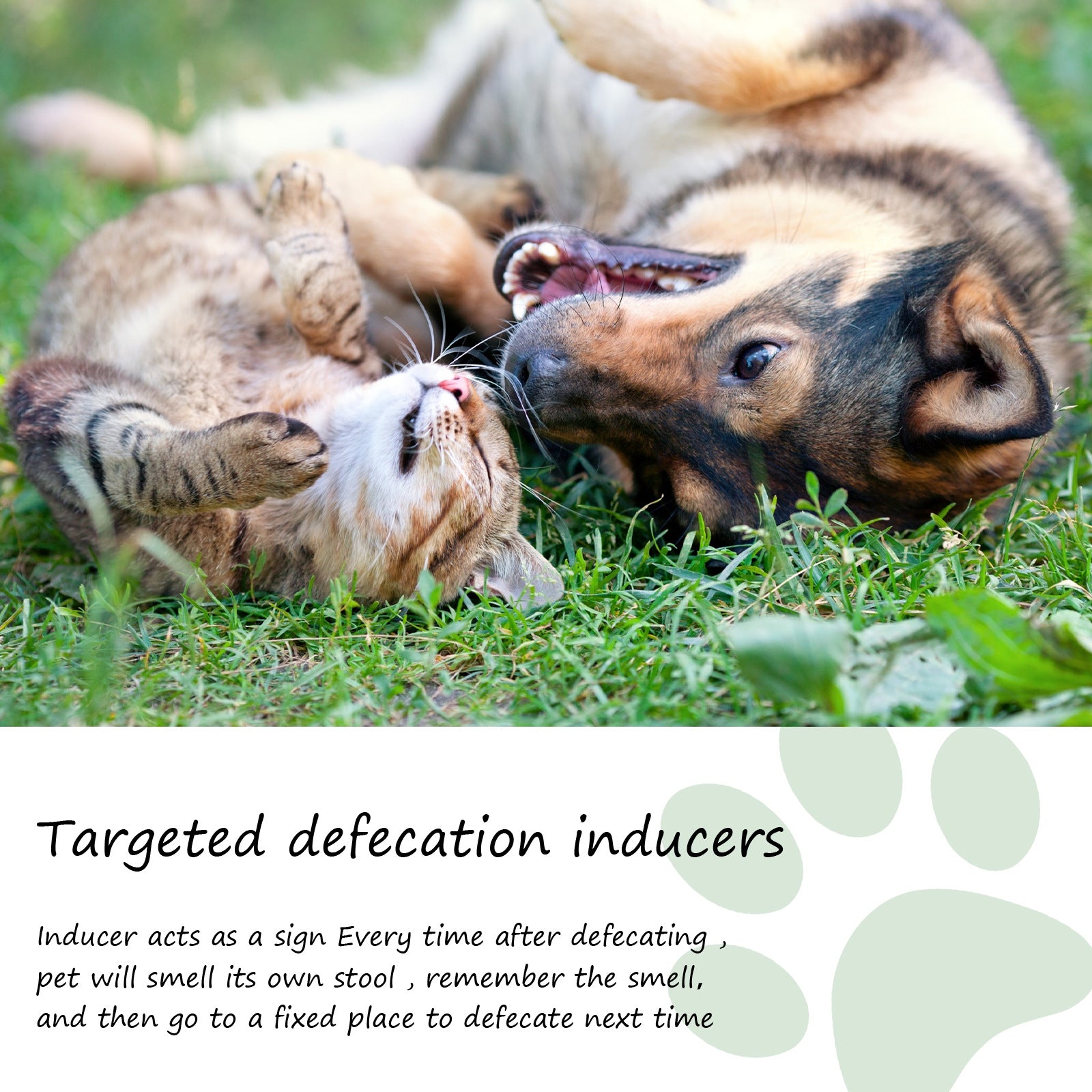 Pet location and defecation inducer